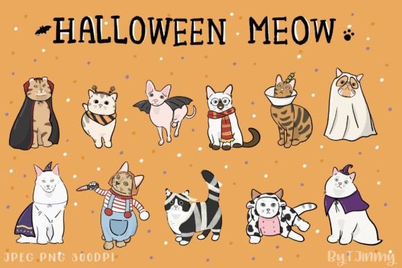 Download Halloween Meow - Premium Bundle