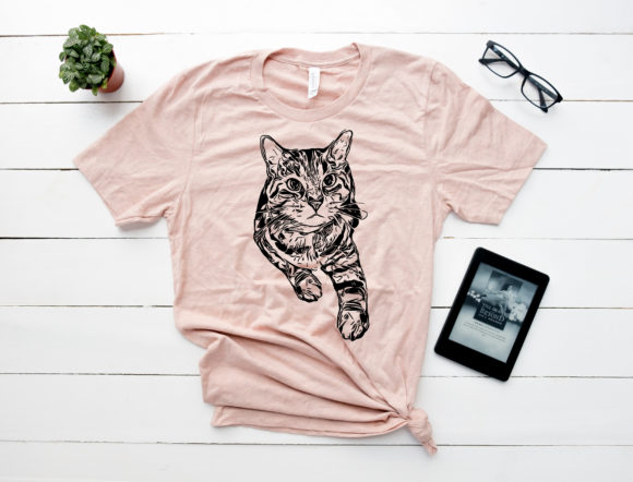 Download Funny Cat Kitty Meow Fur Mama Love - Premium Resources