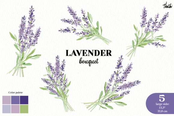 Download Watercolor Lavender Clipart Violet Png - Lavender Collection